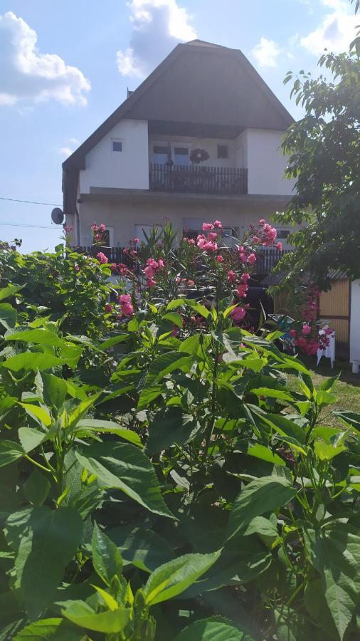 Leander Apartman บาลาตอนแลลเล ภายนอก รูปภาพ